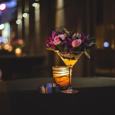 Boscovich Boutique 酒店 波德戈里察